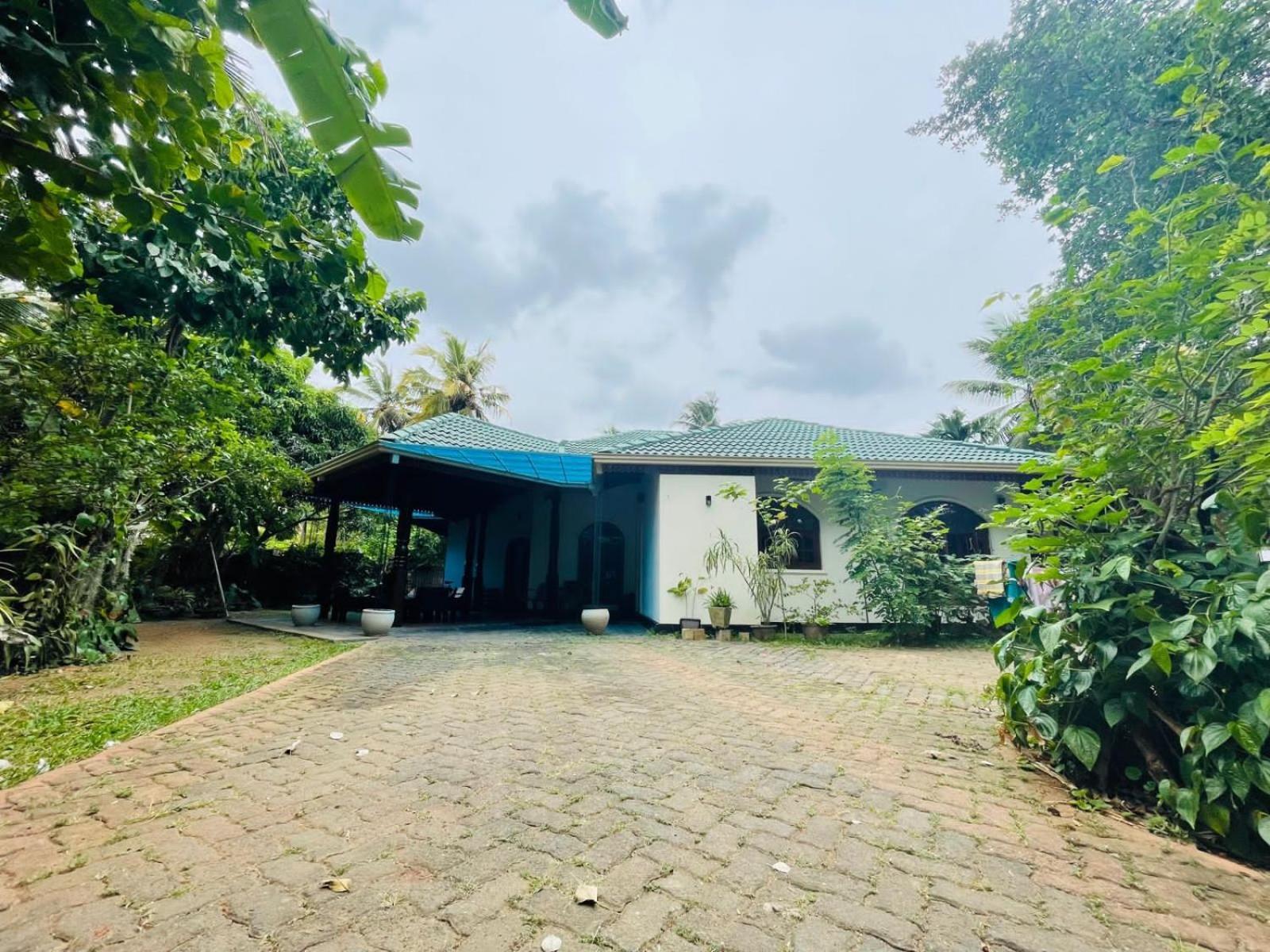 Langama Thena - ළඟම තැන Hotel Anuradhapura Exterior photo